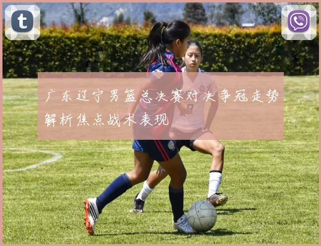 广东辽宁男篮总决赛对决争冠走势解析焦点战术表现