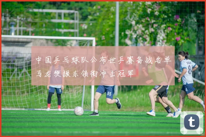 中国乒乓球队公布世乒赛备战名单马龙樊振东领衔冲击冠军