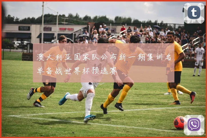 澳大利亚国家队公布新一期集训名单备战世界杯预选赛