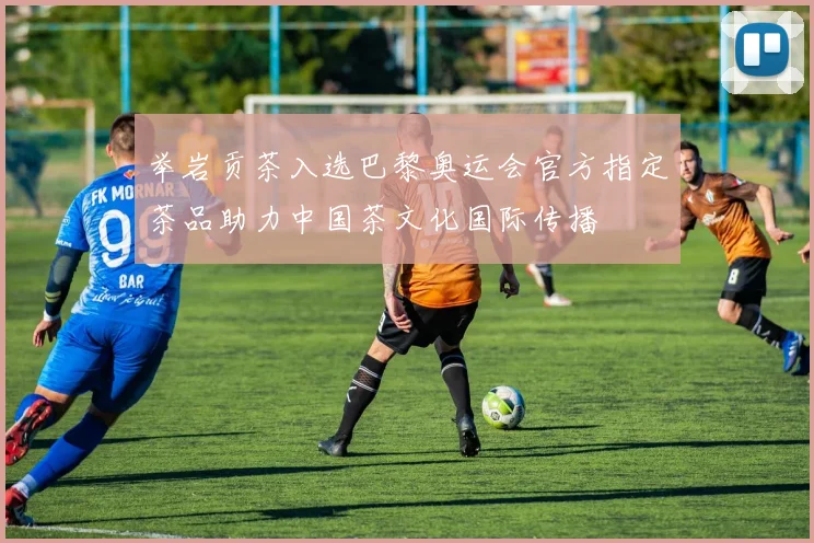 举岩贡茶入选巴黎奥运会官方指定茶品助力中国茶文化国际传播