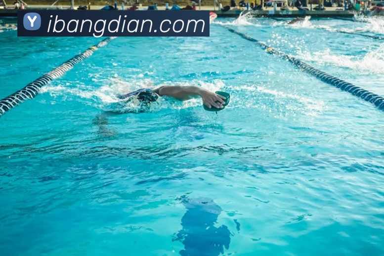 爱游戏体育官网登录平台生态图